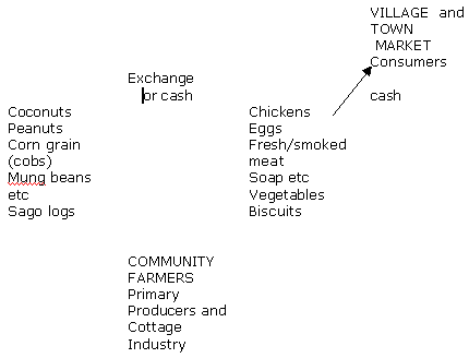 Exchange and/or cash village economy
